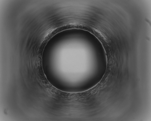 X0000091450776200708231254