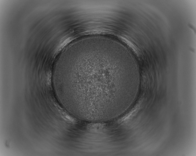 X0000091450778200708231254