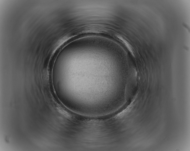 X0000091450779200708231254
