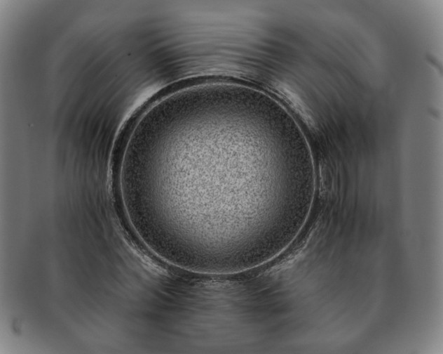 X0000091450780200708231254
