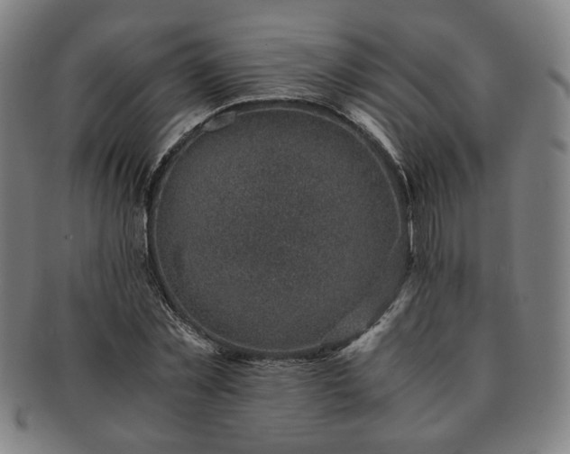 X0000091450781200708231254