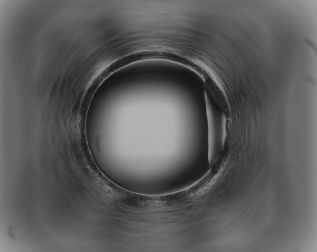X0000091450783200708231254