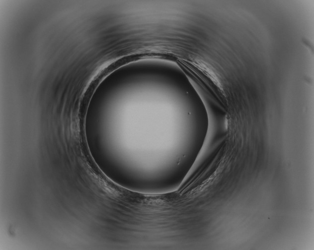 X0000091450784200708231254