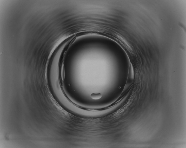 X0000091450788200708231254