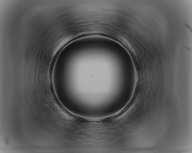 X0000091450789200708231254