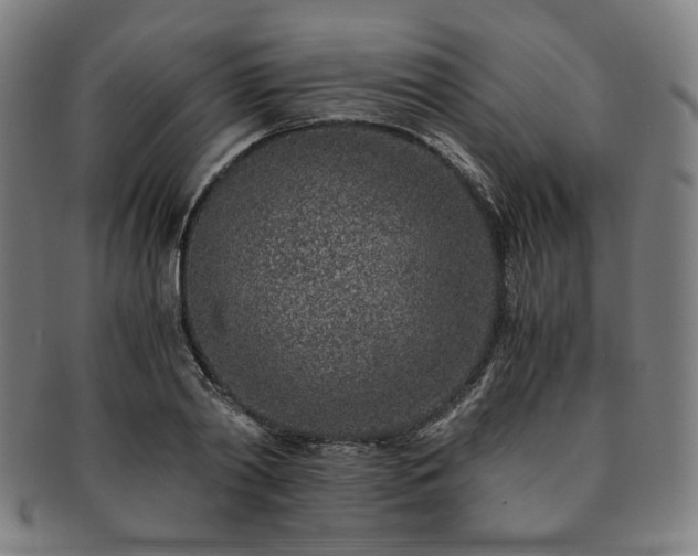 X0000091450790200708231254