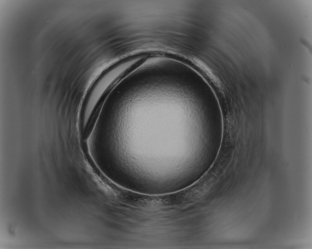 X0000091450791200708231254