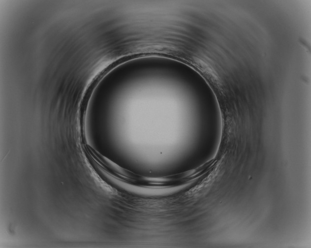 X0000091450792200708231254