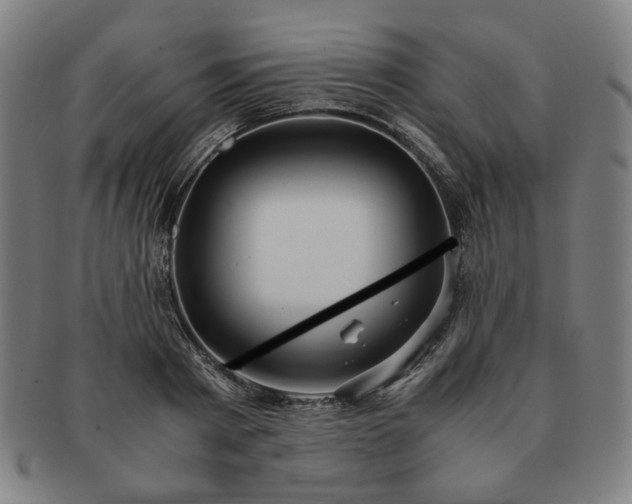 X0000091450793200708231254
