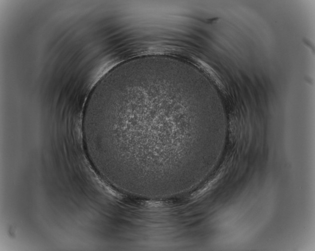 X0000091450794200708231254
