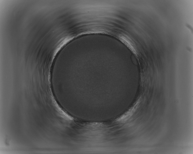 X0000091450797200708231254