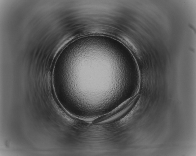 X0000091450798200708231254