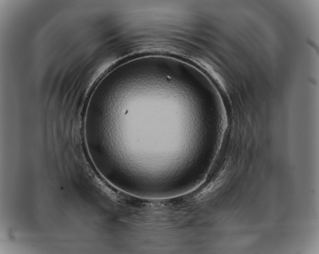 X0000091450799200708231254