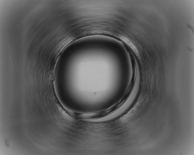 X0000091450801200708231254
