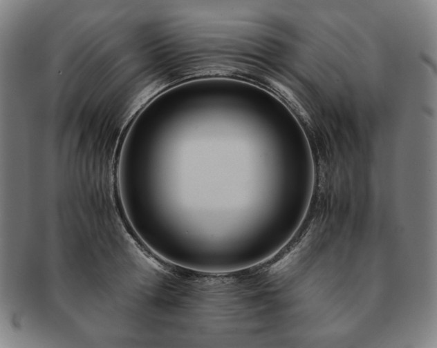 X0000091450802200708231254