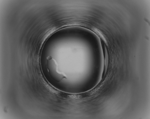 X0000091450805200708231254