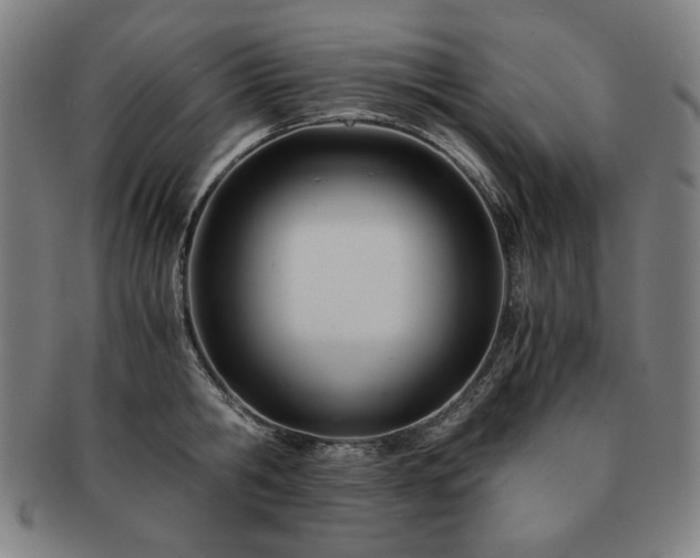 X0000091450806200708231254