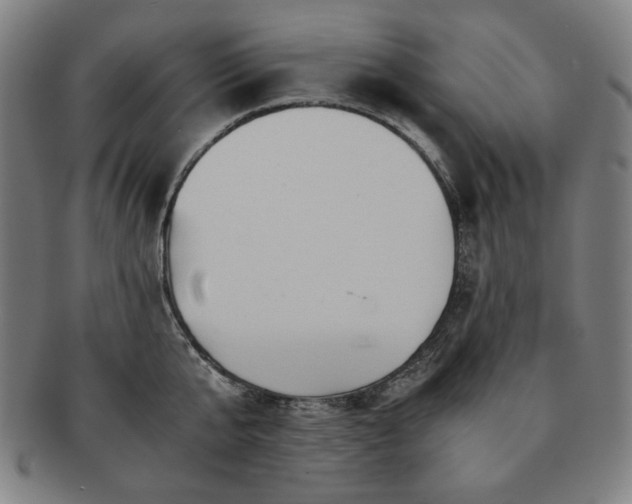X0000091450807200708231254