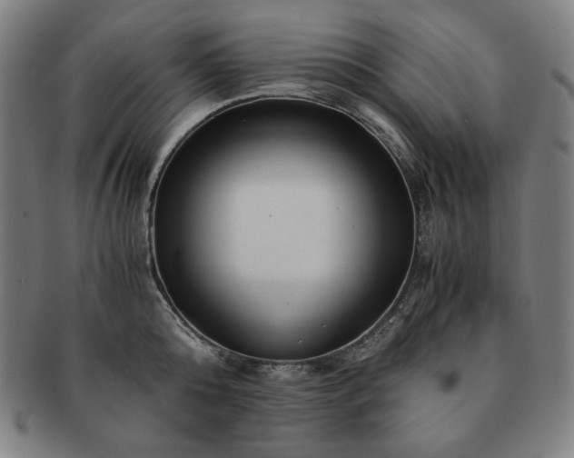 X0000091450808200708231254