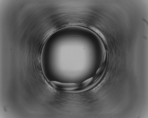 X0000091450809200708231254