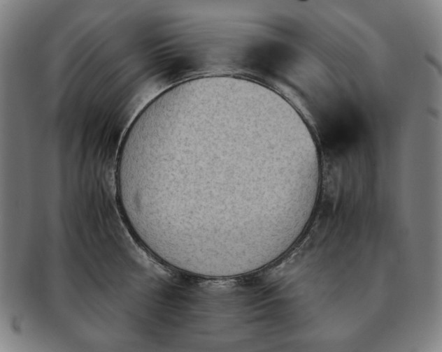 X0000091450810200708231254