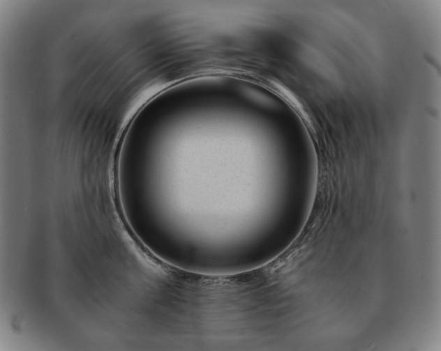 X0000091450811200708231254