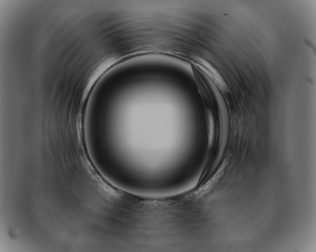 X0000091450812200708231253
