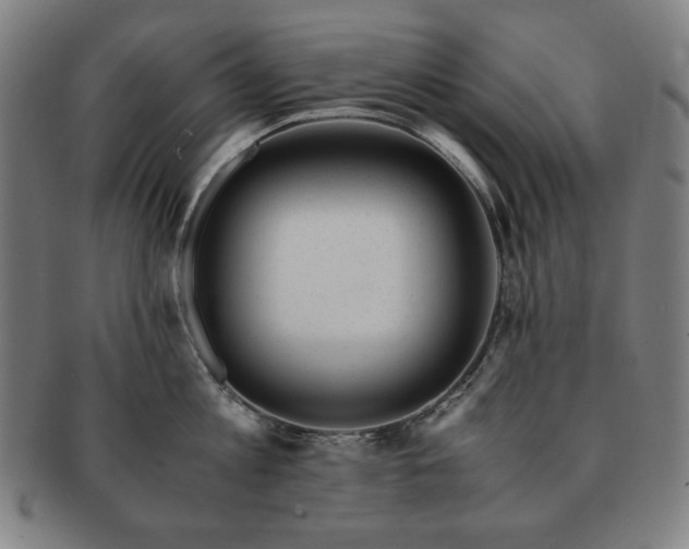 X0000091450813200708231253