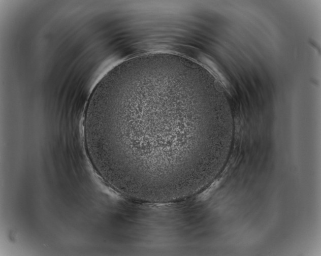 X0000091450814200708231253