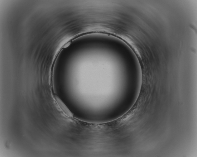 X0000091450815200708231253