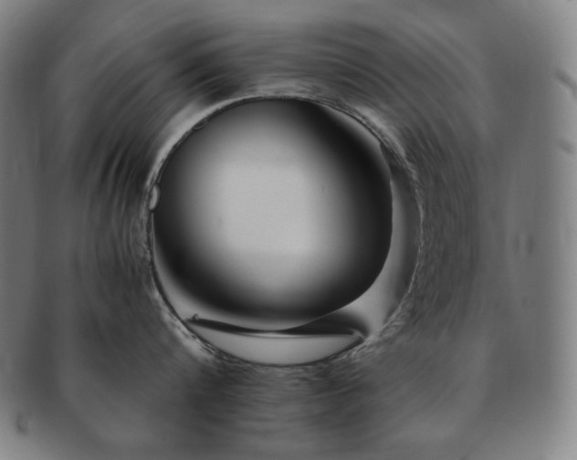 X0000091450816200708231253