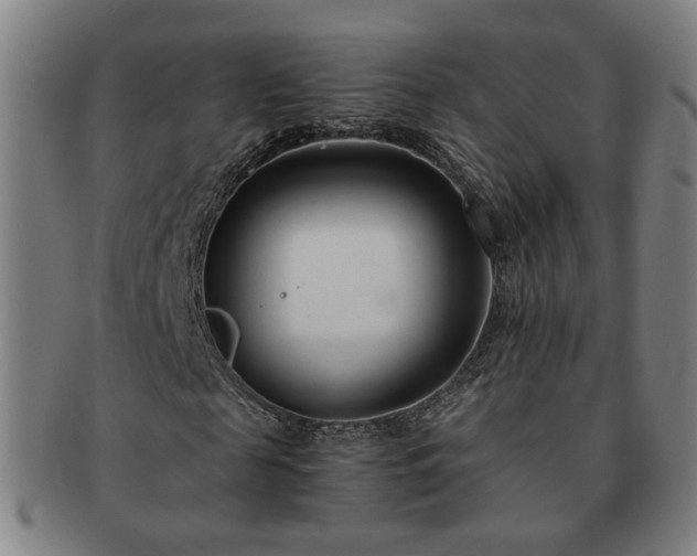 X0000091450817200708231253
