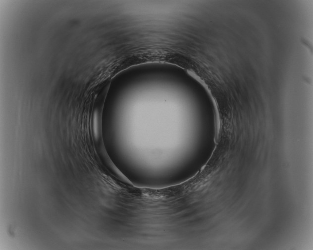 X0000091450818200708231253