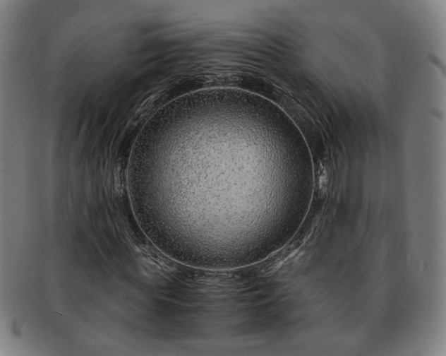 X0000091450819200708231253