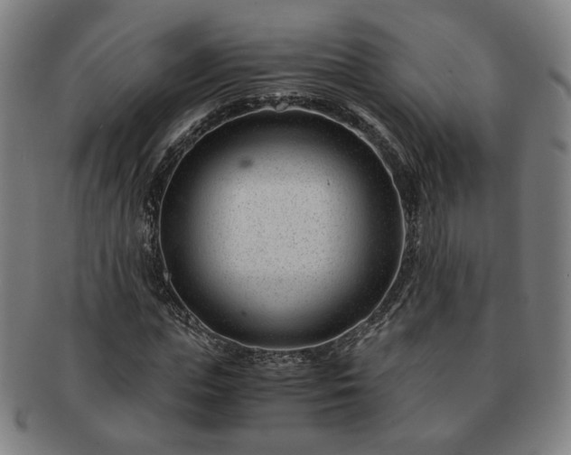 X0000091450823200708231253