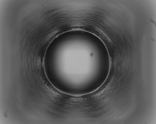 X0000091450825200708231253
