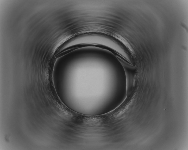 X0000091450826200708231253