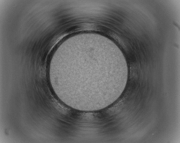X0000091450828200708231253
