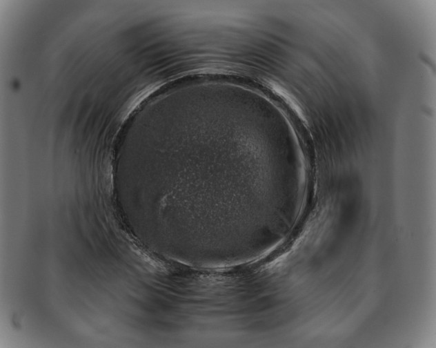 X0000091450829200708231253