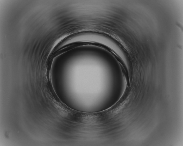 X0000091450830200708231253