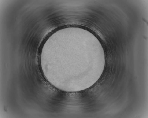X0000091450832200708231253