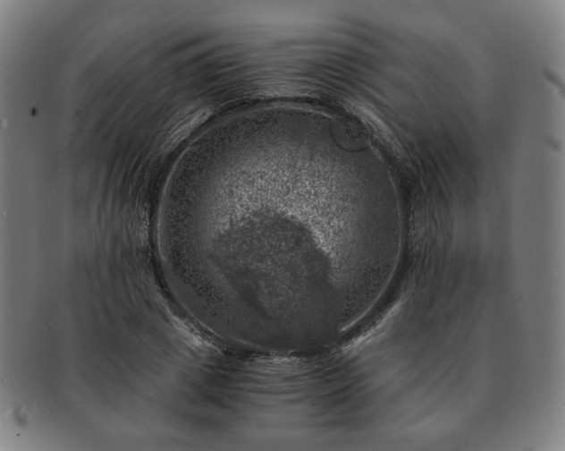 X0000091450833200708231253