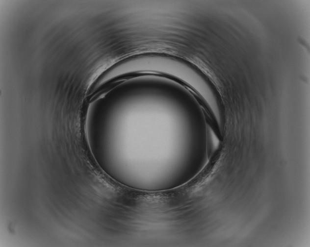 X0000091450834200708231253