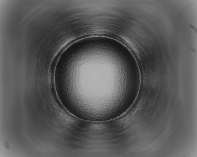 X0000091450835200708231253