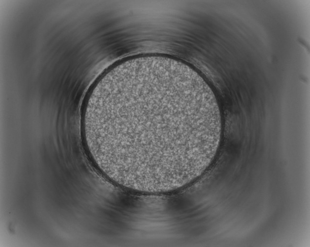 X0000091450836200708231253