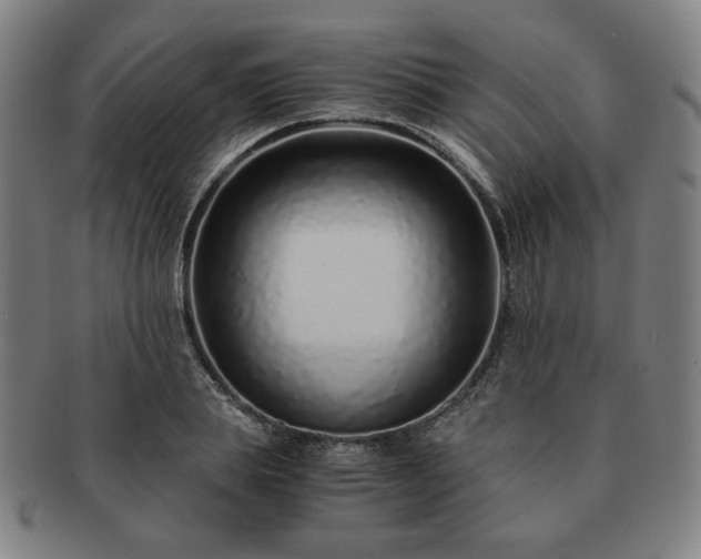 X0000091450839200708231253