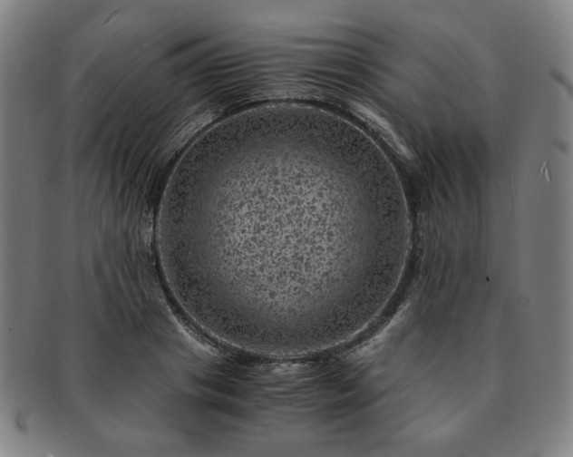 X0000091450841200708231253