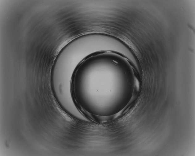 X0000091450842200708231253