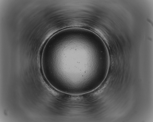 X0000091450843200708231253