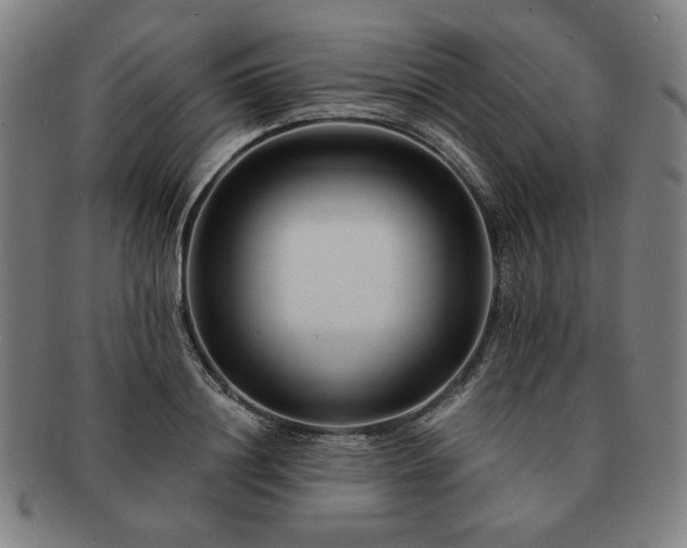 X0000091450844200708231253